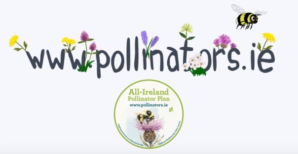Pollinators-web-address